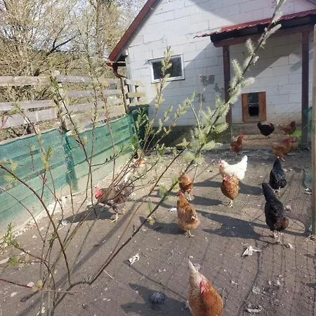 Pri Kupi 아파트 *