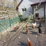 Pri Kupi Апартаменты *