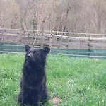 Pri Kupi Апартаменты