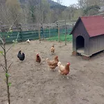 Апартаменты Pri Kupi