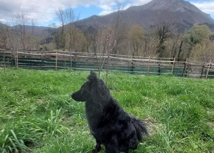 Pri Kupi * Kuzelj